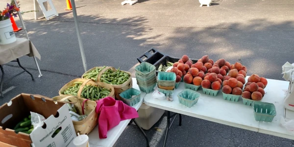 Daymark Recovery Services