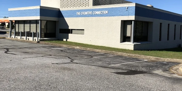 Cognitive Connection