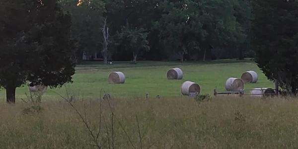 Adolescent Alternatives