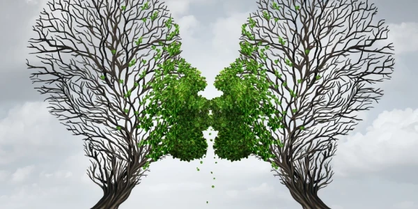 Recovery Ventures Corporation