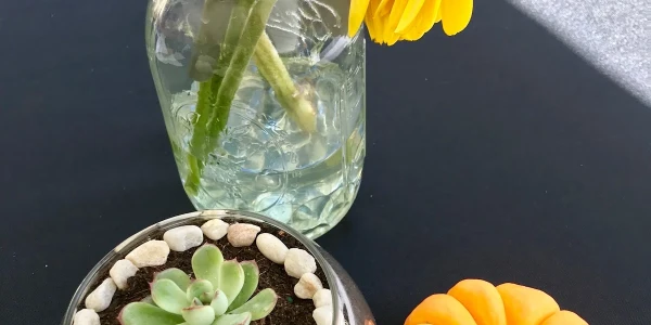 Carolina House Eating Disorder Treatment Center